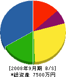東新電機 貸借対照表 2008年9月期