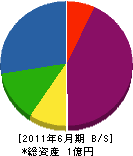 鈴木鋼業 貸借対照表 2011年6月期