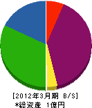 鬼怒川理水サービス 貸借対照表 2012年3月期