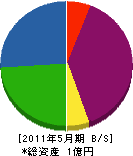 奥川商店 貸借対照表 2011年5月期