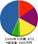 松本塗装工業所 貸借対照表 2009年10月期