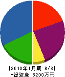 江州造園 貸借対照表 2013年1月期