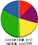 中嶋水道 貸借対照表 2009年3月期