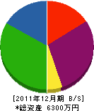 森川電業 貸借対照表 2011年12月期