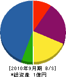 鶴田電気商会 貸借対照表 2010年9月期