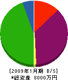 前田塗装店 貸借対照表 2009年1月期