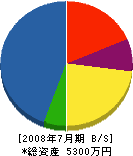 グリーンサービス加賀 貸借対照表 2008年7月期