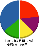 橋本建設 貸借対照表 2012年7月期