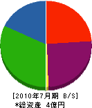 丸藤 貸借対照表 2010年7月期