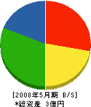 宮沢建設 貸借対照表 2008年5月期