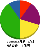 ジャパン・リサイクル・システム 貸借対照表 2009年3月期