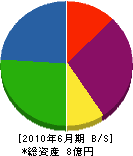 田中鉄工所 貸借対照表 2010年6月期