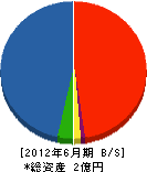 木津産業 貸借対照表 2012年6月期