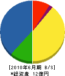川浦土建 貸借対照表 2010年6月期