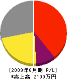 坂井畳店 損益計算書 2009年6月期