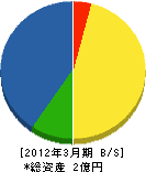 弘青さく泉工業所 貸借対照表 2012年3月期