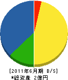 坂井商店 貸借対照表 2011年6月期