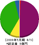日本ユートピア 貸借対照表 2008年5月期
