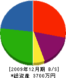東岐電気商会 貸借対照表 2009年12月期