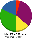 千葉電気 貸借対照表 2011年9月期