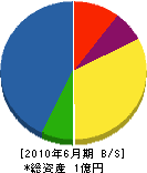 小野組 貸借対照表 2010年6月期