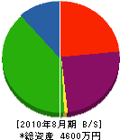 渡辺電機 貸借対照表 2010年8月期