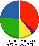 五百川組 貸借対照表 2011年12月期