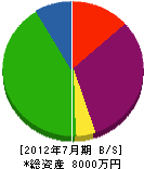 斉藤菊正塗工 貸借対照表 2012年7月期