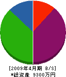 日新電工 貸借対照表 2009年4月期