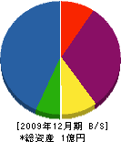 早川建材設備 貸借対照表 2009年12月期