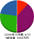飛騨設備 貸借対照表 2008年10月期