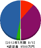 生井澤設備工業 貸借対照表 2012年5月期