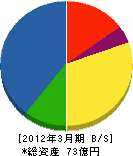 日本ピーマック 貸借対照表 2012年3月期