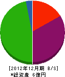 藤田組 貸借対照表 2012年12月期