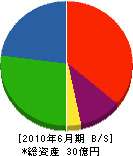 沖縄ピーシー 貸借対照表 2010年6月期