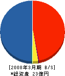 京葉新日軽 貸借対照表 2008年3月期
