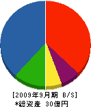 富士建設 貸借対照表 2009年9月期
