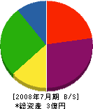 田中土木 貸借対照表 2008年7月期