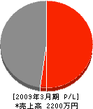 新横浜ガレージ製作所 損益計算書 2009年3月期