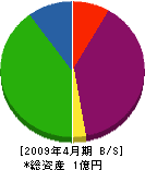 田中工業 貸借対照表 2009年4月期