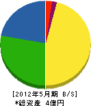 松村石材 貸借対照表 2012年5月期