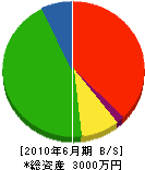 大泉鉄工所 貸借対照表 2010年6月期