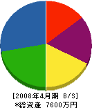山田電業白石工事所 貸借対照表 2008年4月期