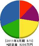 片岡電気 貸借対照表 2011年4月期