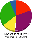 佐々木建設 貸借対照表 2008年10月期