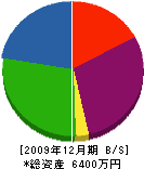 斎藤畳内装 貸借対照表 2009年12月期