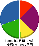 田中工業 貸借対照表 2008年9月期
