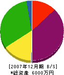 石塚建設 貸借対照表 2007年12月期