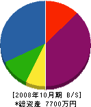 清宮電気商会 貸借対照表 2008年10月期