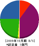 白樺造園土木 貸借対照表 2009年10月期